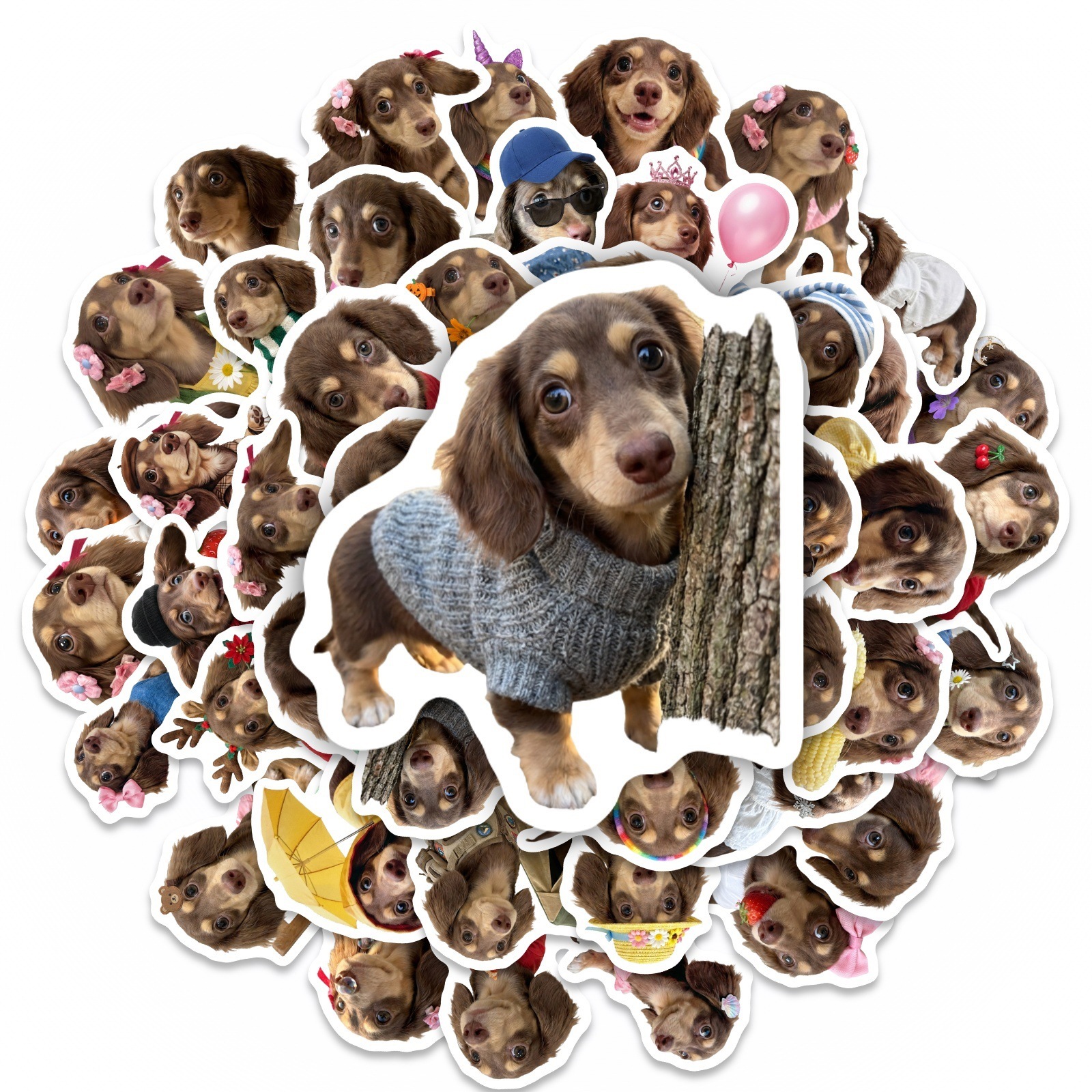 50 Pcs HD Cute Dachshund Stick – обзор и цена Motorcycle Gear For Dogs