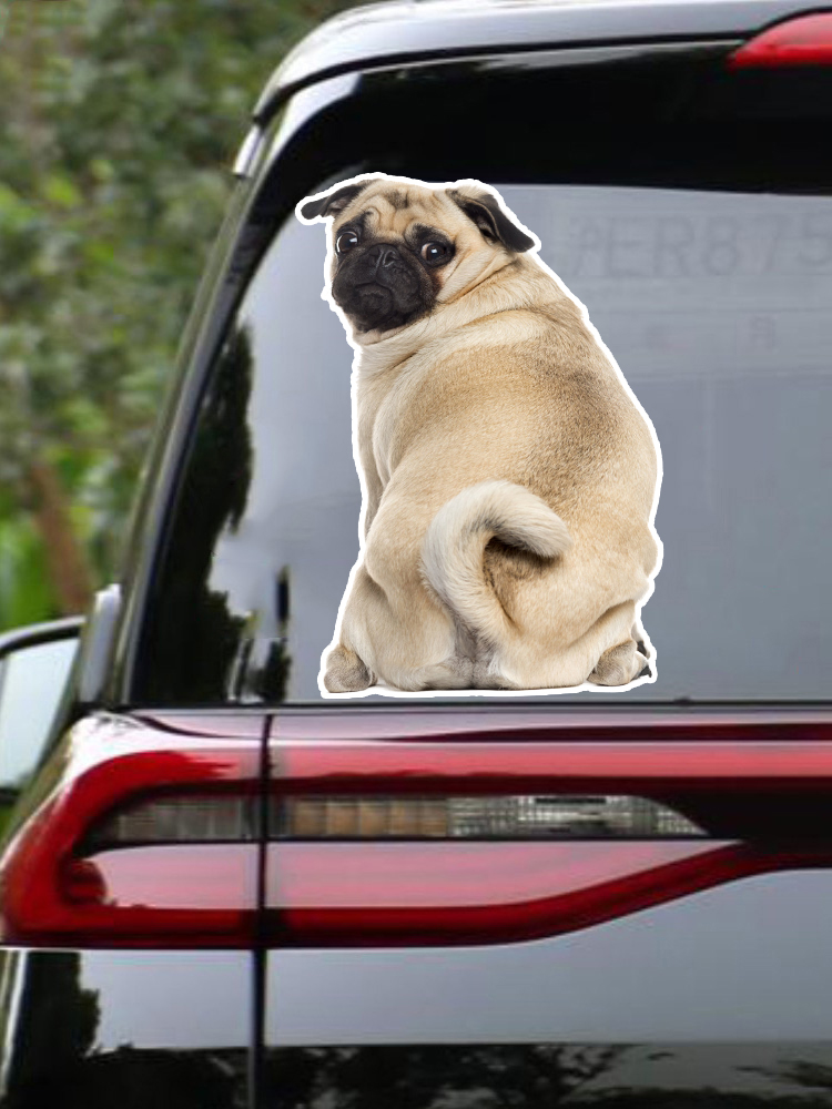 B0692# Self-adhesive Decal Pug – обзор и цена Motorcycle Gear For Dogs