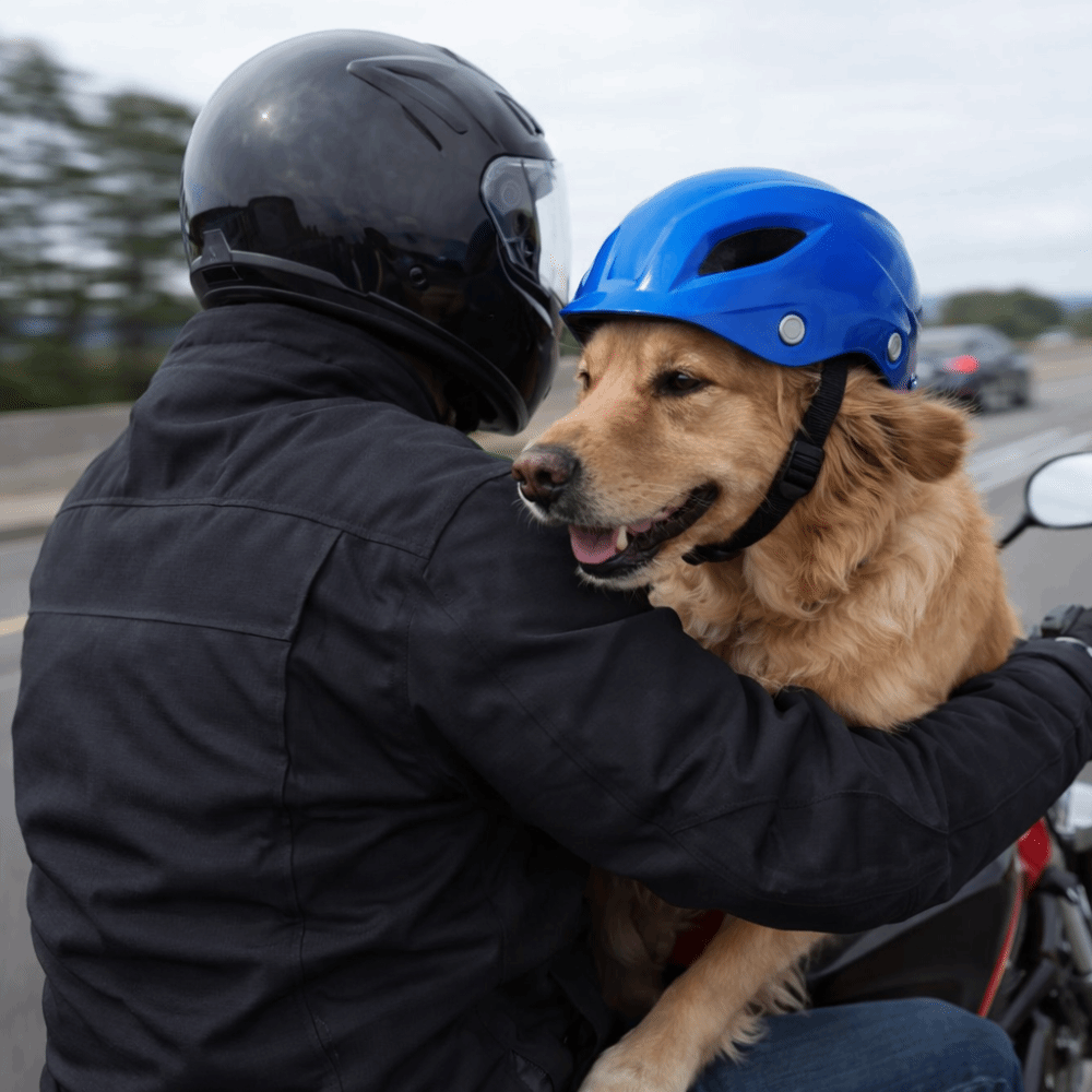 Pet Headgear Adjustable Dog He – обзор и цена Motorcycle Gear Dogs
