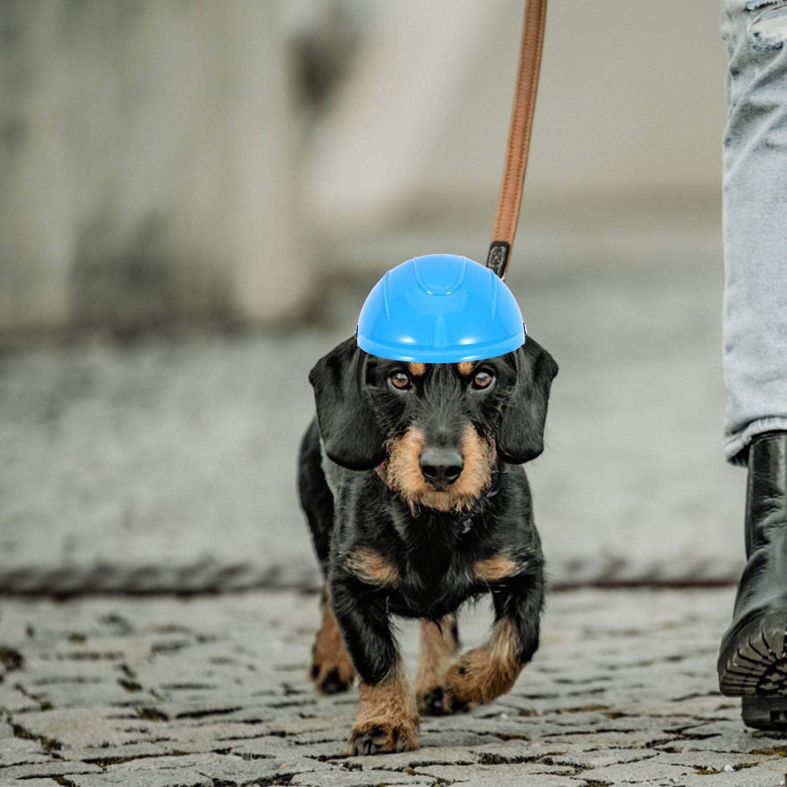 Small Dog Adjustable Pet Safet – обзор и цена Motorcycle Gear Dogs